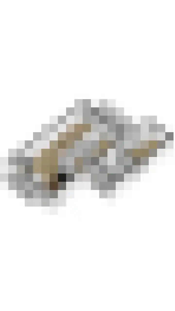 Fuutdonk 24 Veghel thumbnail 58
