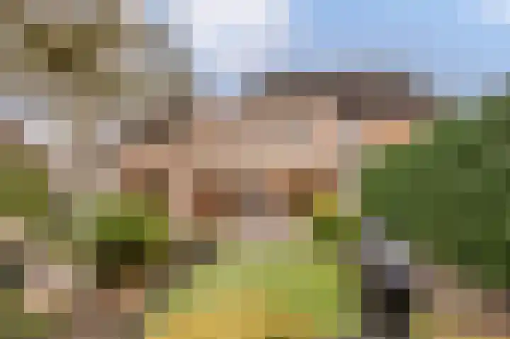 Fuutdonk 24 Veghel thumbnail 6