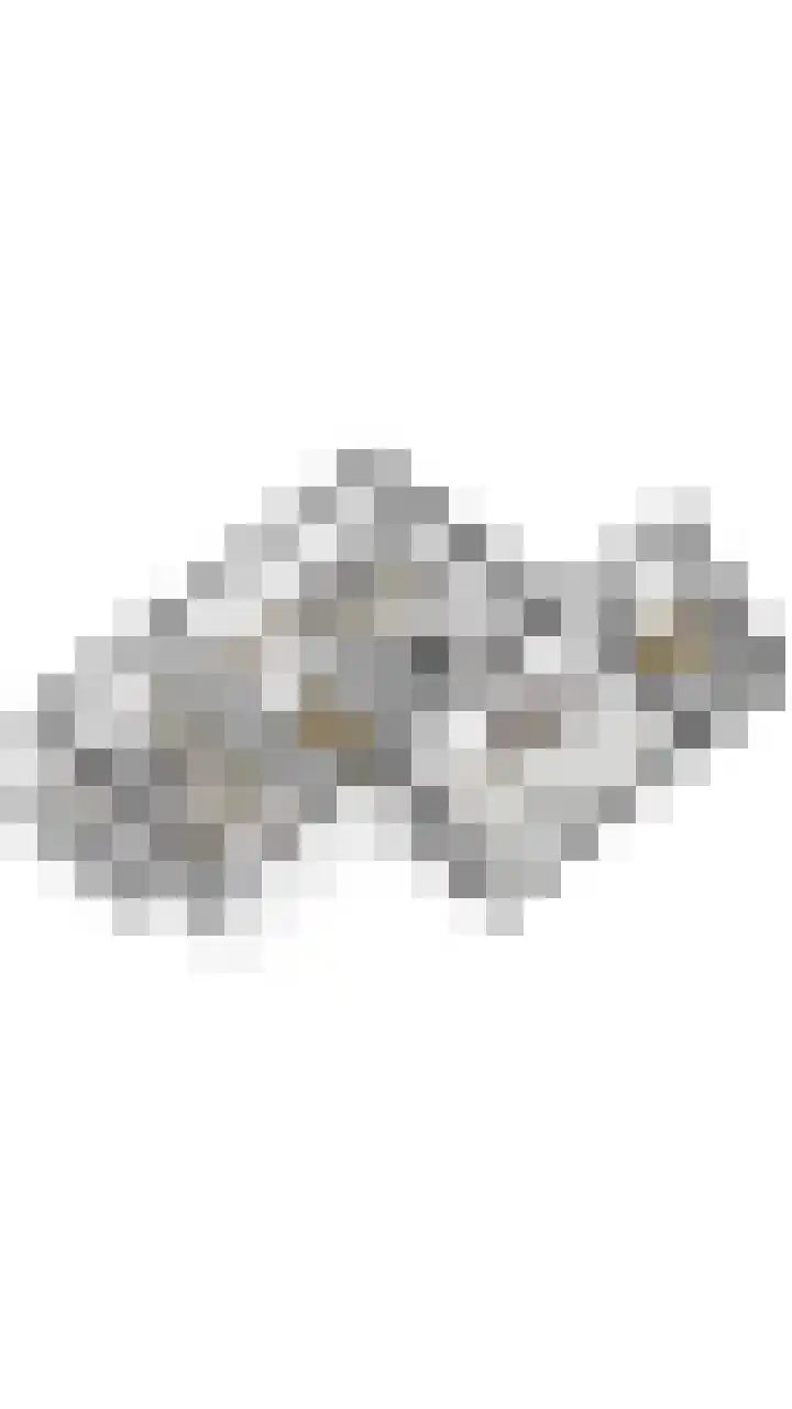 Fuutdonk 24 Veghel thumbnail 60