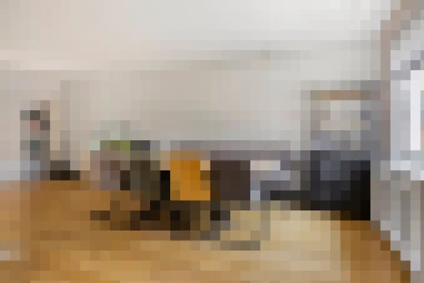 Fuutdonk 5 Veghel thumbnail 11
