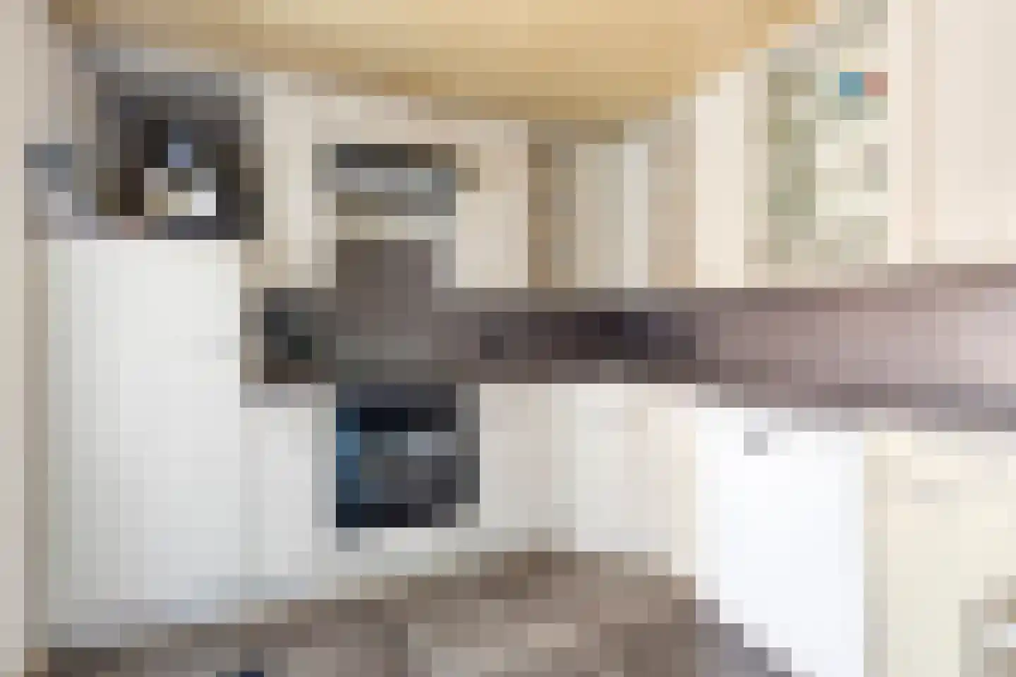 Fuutdonk 5 Veghel thumbnail 13