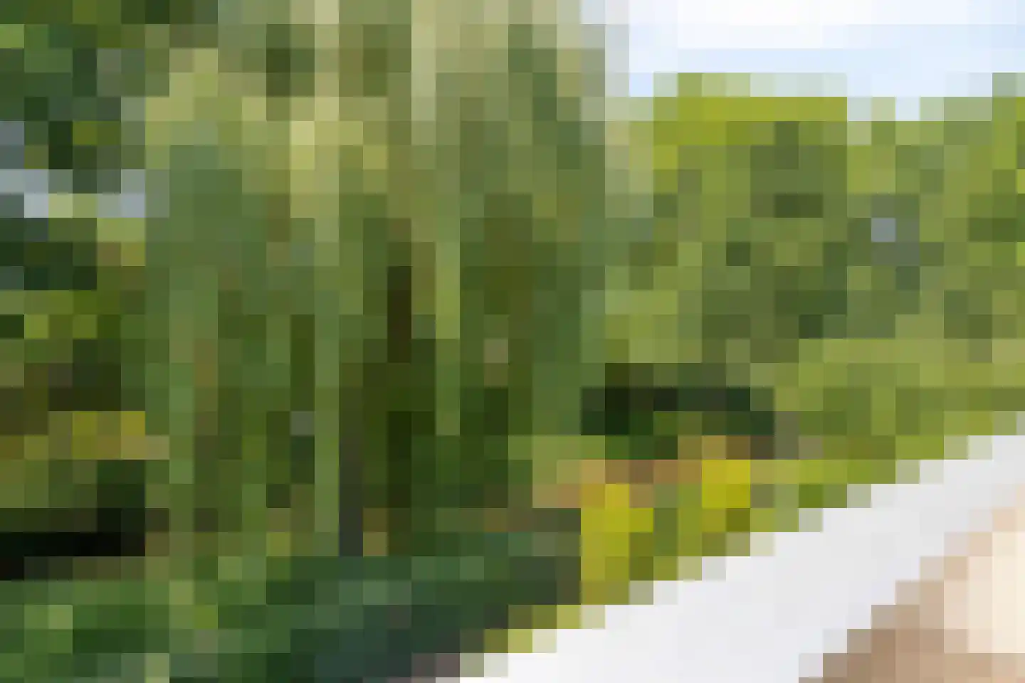 Fuutdonk 5 Veghel thumbnail 18