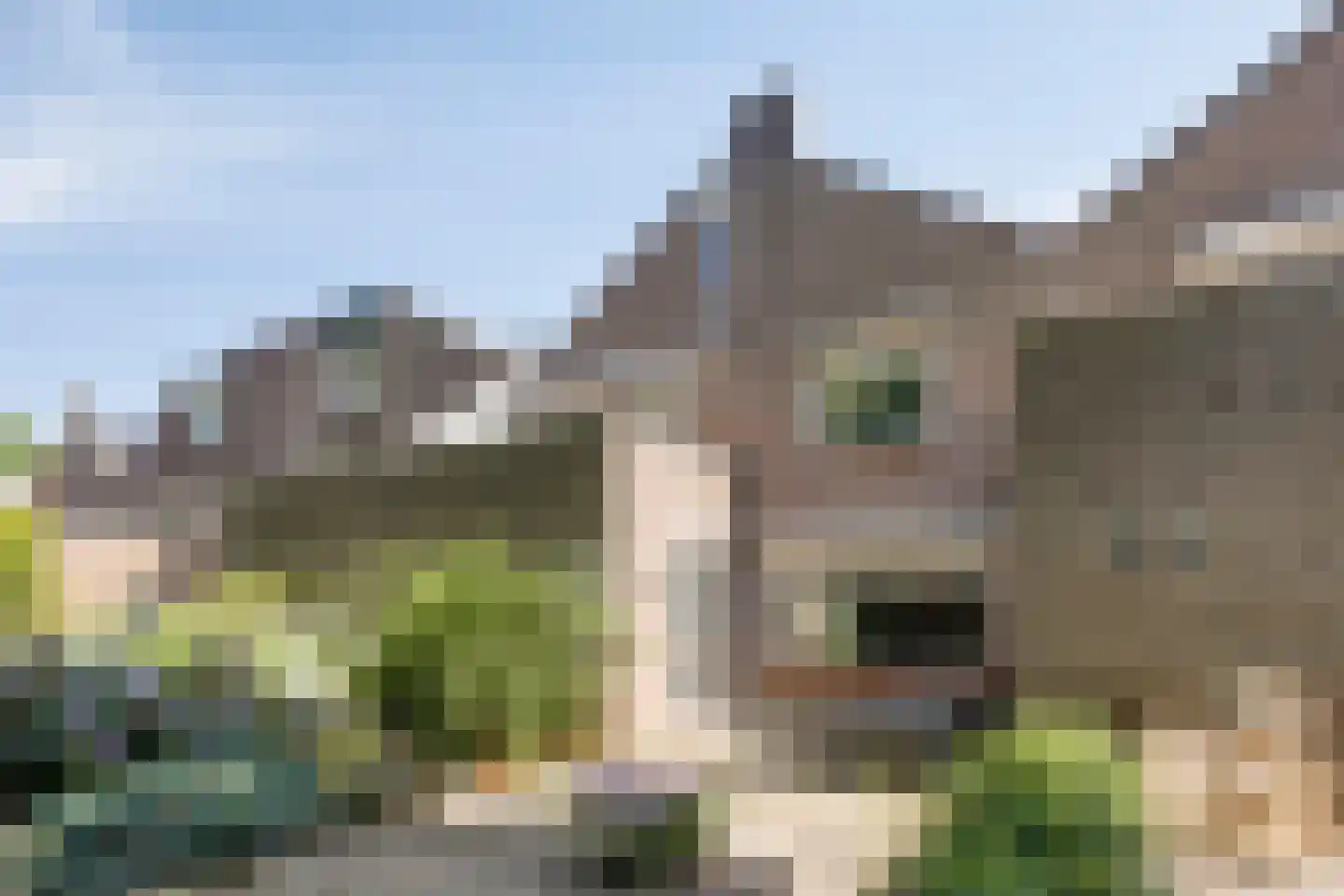 Fuutdonk 5 Veghel foto 2