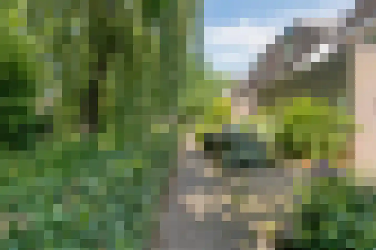 Fuutdonk 5 Veghel foto 3
