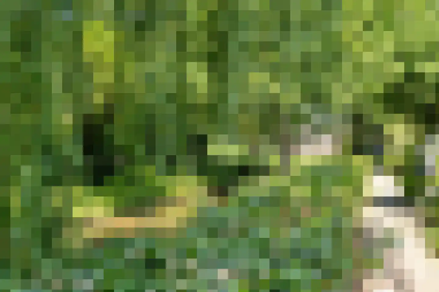 Fuutdonk 5 Veghel thumbnail 35