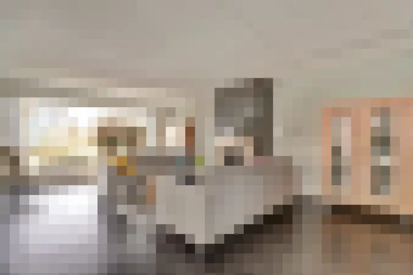 Fuuthof 7 Moordrecht thumbnail 13