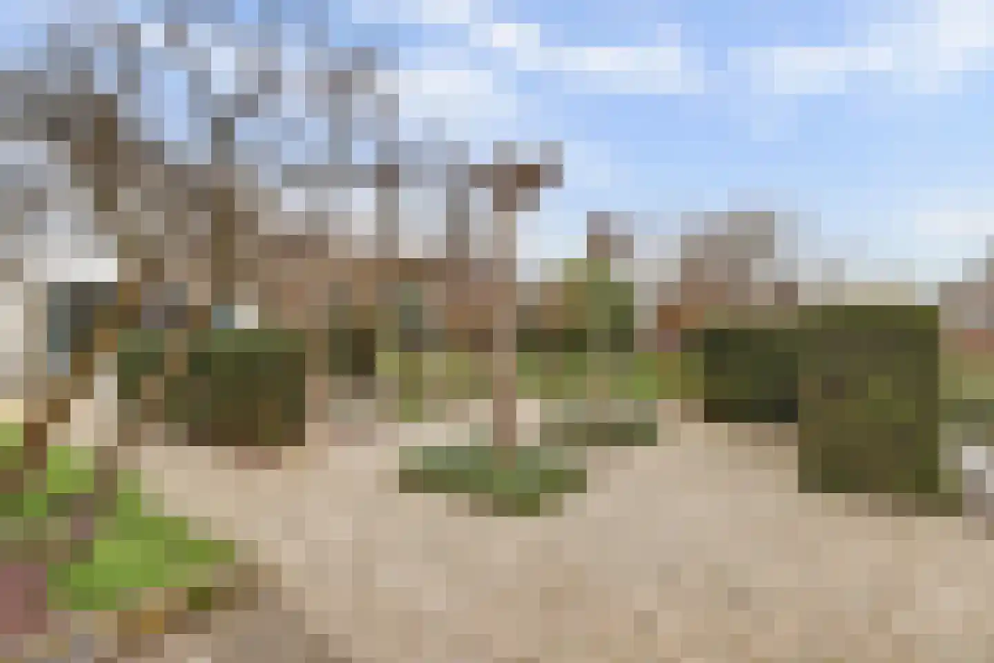 Fuuthof 7 Moordrecht thumbnail 39
