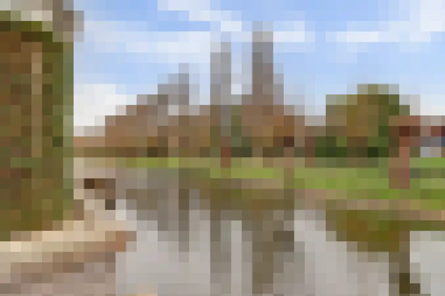 Fuuthof 7 Moordrecht thumbnail 40