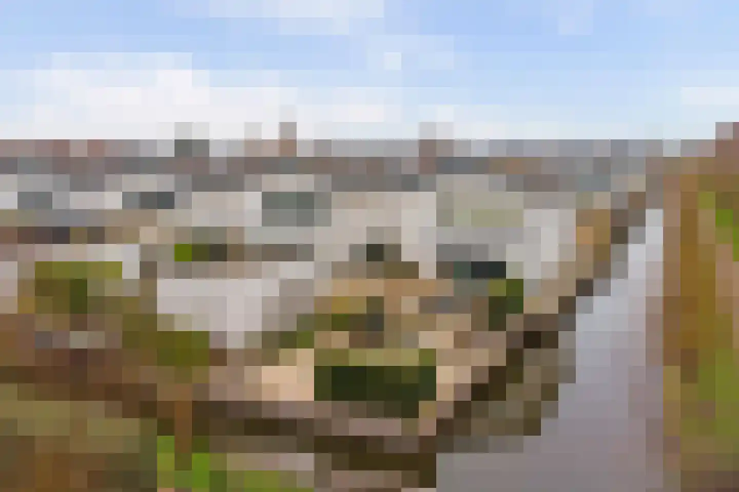Fuuthof 7 Moordrecht thumbnail 44