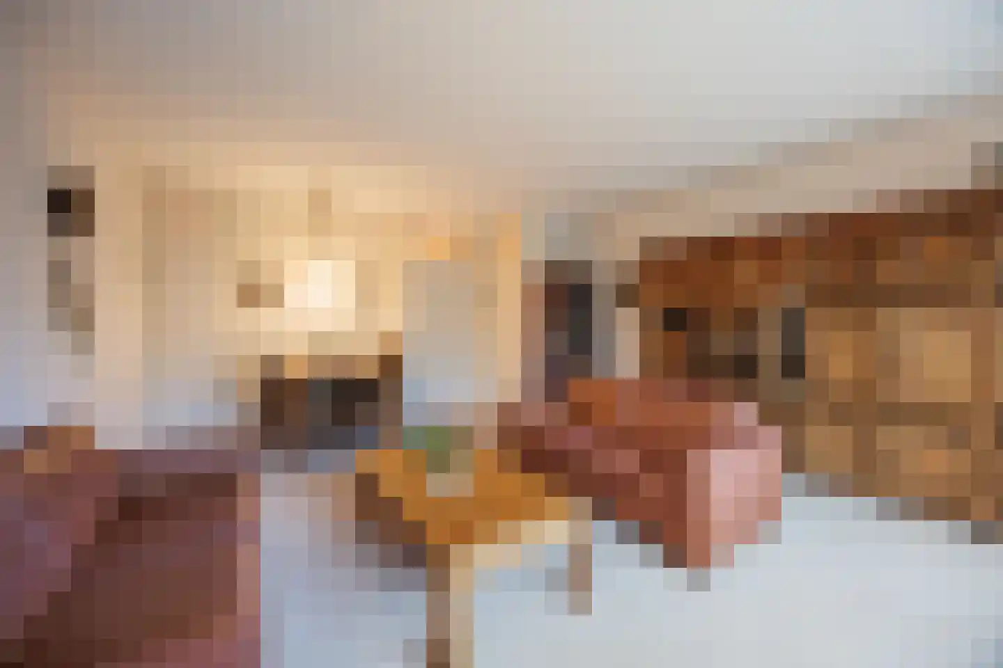 Fuutlaan 12 Delft thumbnail 12
