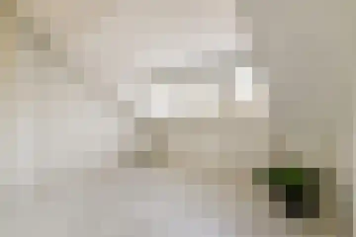 Fuutlaan 3 Aalsmeer thumbnail 20