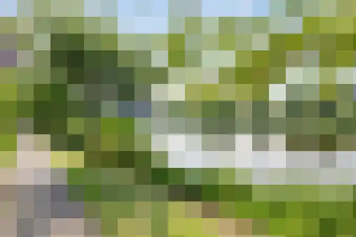 Fuutlaan 30 Capelle aan den IJssel thumbnail 29