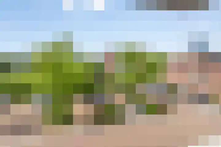 Fuutlaan 30 Capelle aan den IJssel thumbnail 30