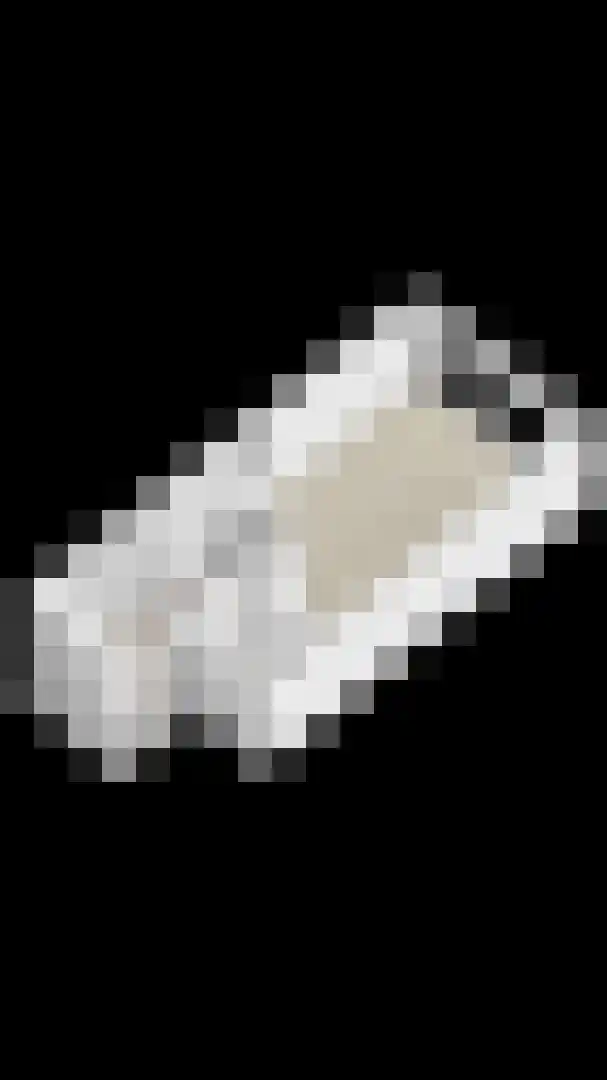 Fuutlaan 30 Capelle aan den IJssel thumbnail 34