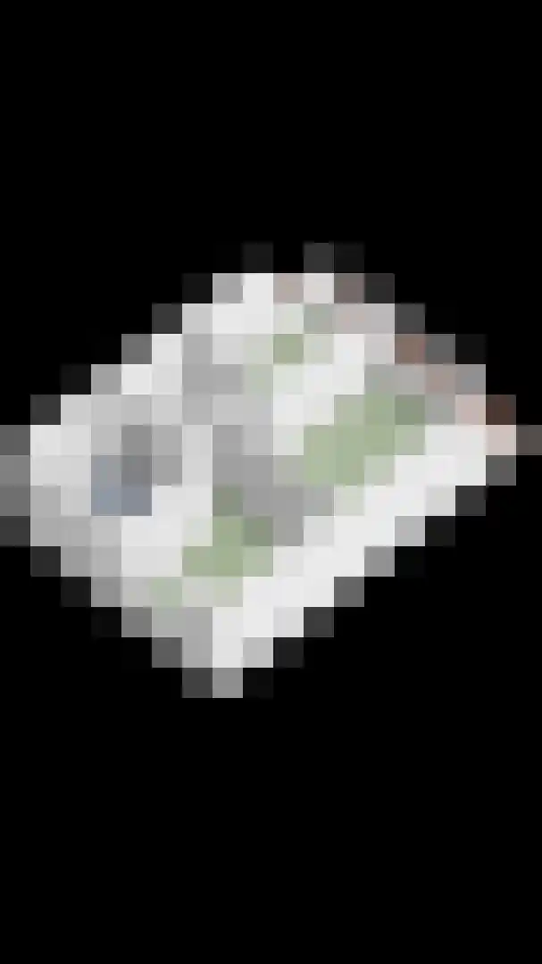 Fuutlaan 30 Capelle aan den IJssel thumbnail 36
