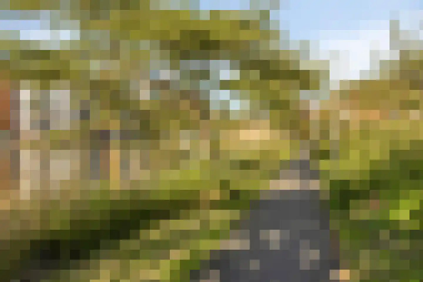 Fuutlaan 35 Capelle aan den IJssel thumbnail 31