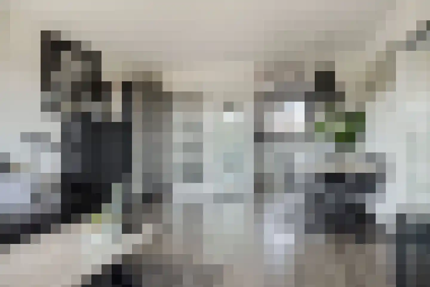 Fuutlaan 35 Capelle aan den IJssel thumbnail 8