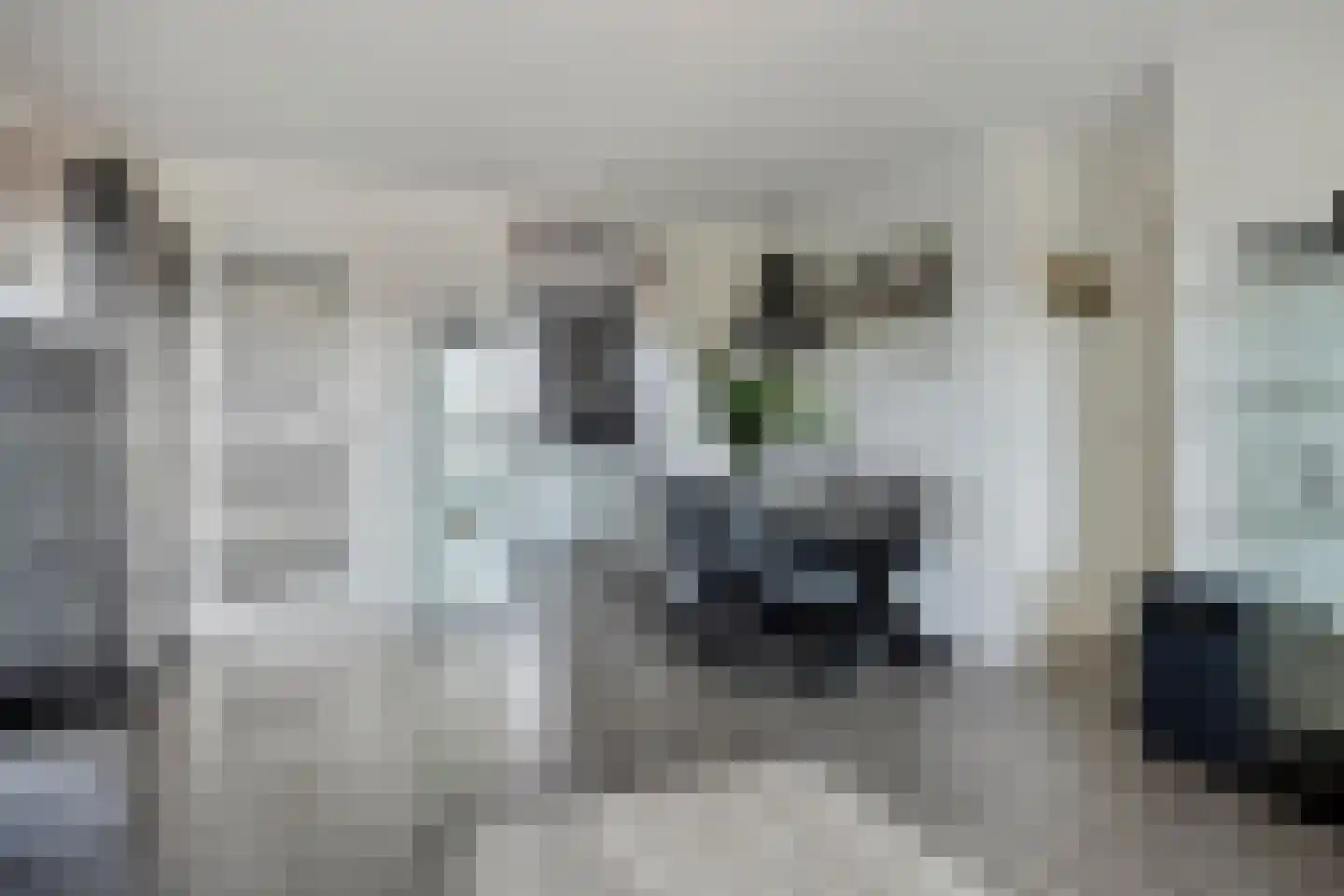 Fuutlaan 35 Capelle aan den IJssel thumbnail 9