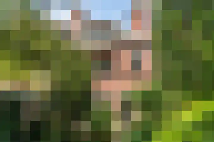 Fuutlaan 35 Den Haag thumbnail 10