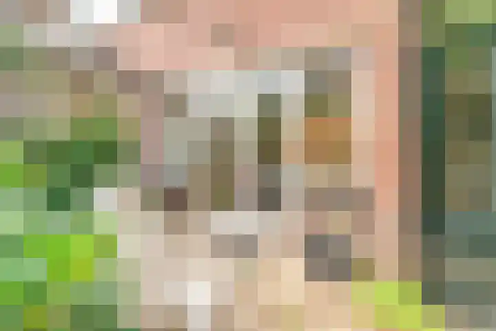 Fuutlaan 35 Den Haag thumbnail 11