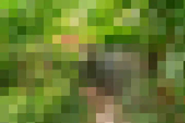 Fuutlaan 35 Den Haag thumbnail 12