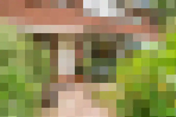 Fuutlaan 35 Den Haag thumbnail 32