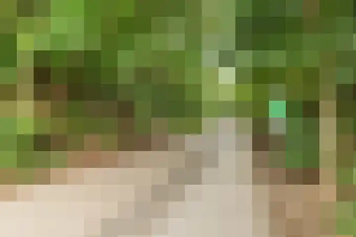 Fuutlaan 35 Den Haag thumbnail 34