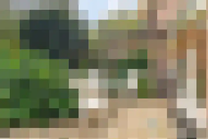 Fuutlaan 35 Den Haag thumbnail 8