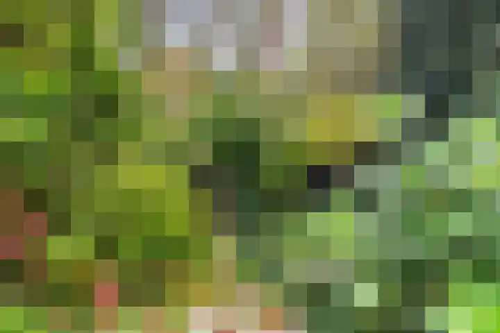 Fuutlaan 35 Den Haag thumbnail 9