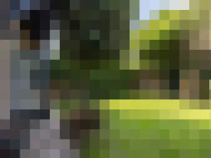 Fuutlaan 37 A Eindhoven thumbnail 30