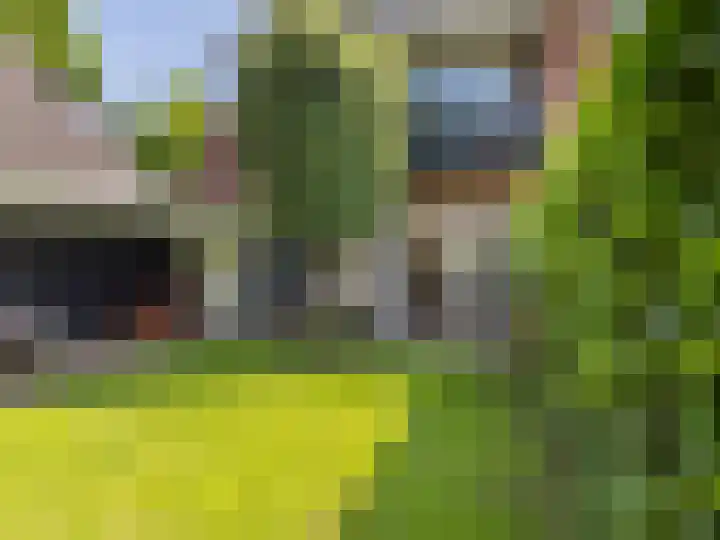 Fuutlaan 37 A Eindhoven thumbnail 31