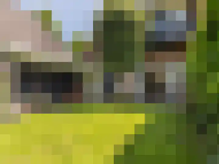 Fuutlaan 37 A Eindhoven thumbnail 32