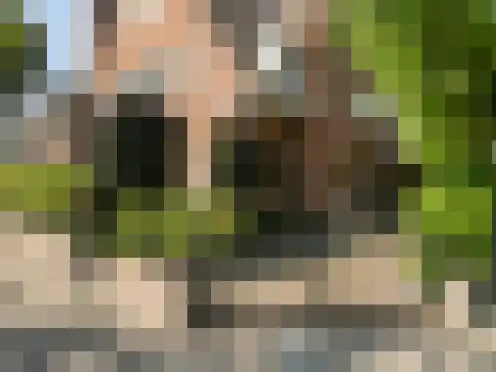 Fuutlaan 37 A Eindhoven thumbnail 4