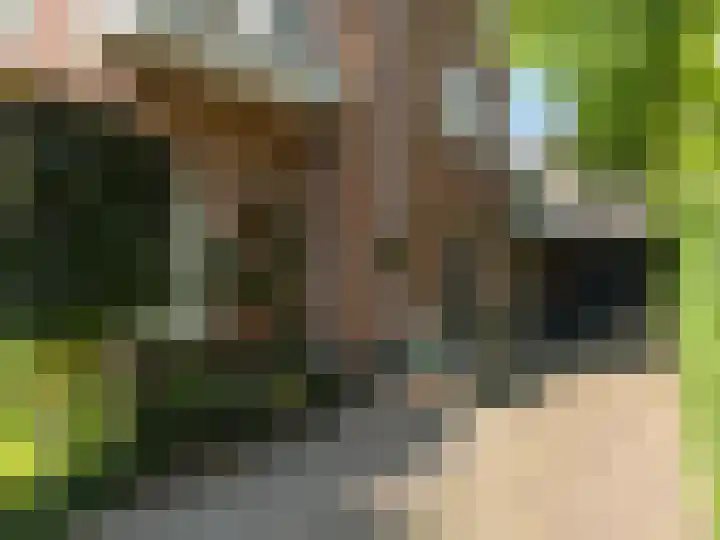 Fuutlaan 37 A Eindhoven thumbnail 5