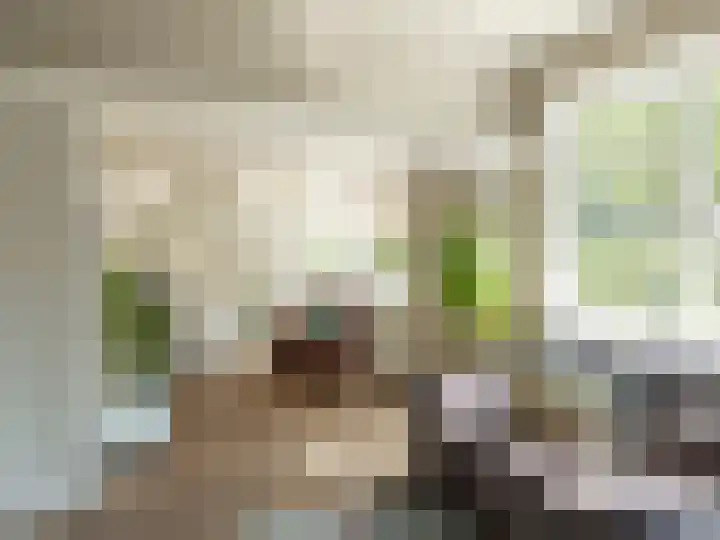 Fuutlaan 37 A Eindhoven thumbnail 9