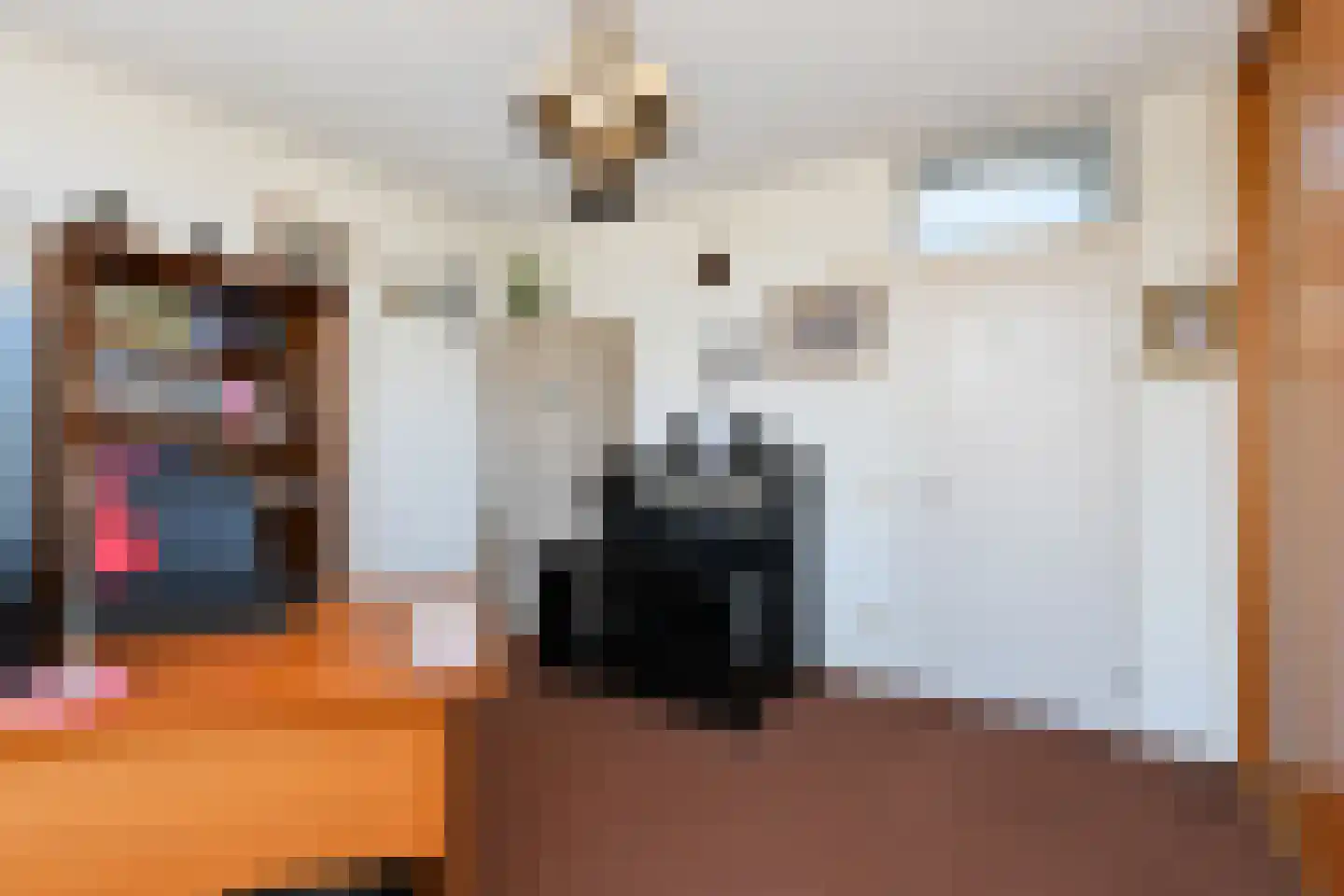 Fuutlaan 37 Leidschendam thumbnail 33