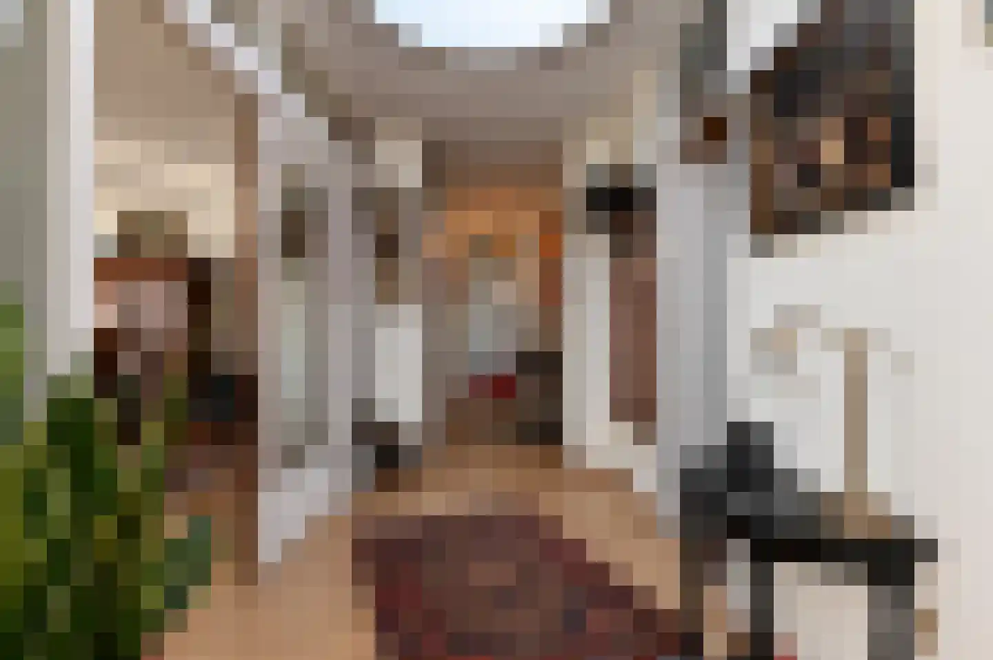 Fuutlaan 37 Leidschendam thumbnail 6