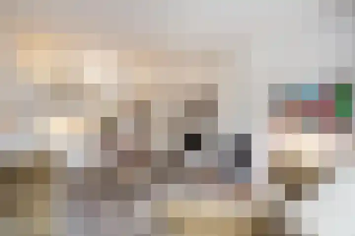 Fuutlaan 4 Den Haag thumbnail 10