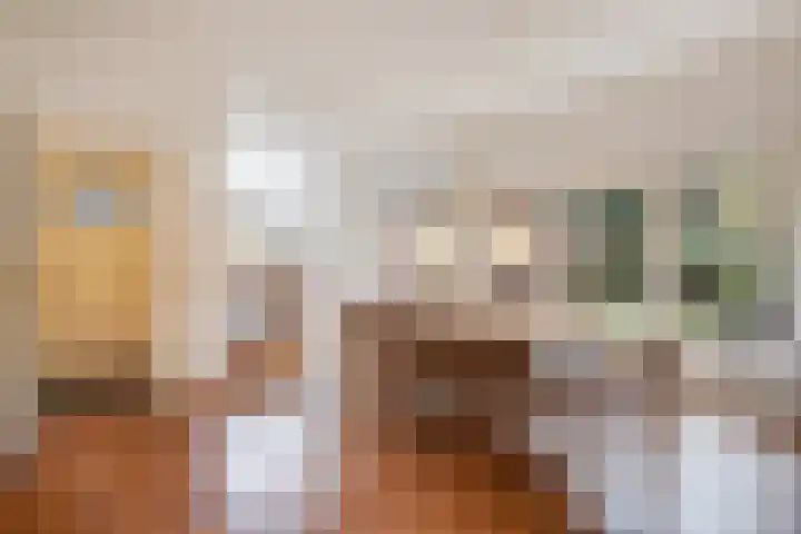 Fuutlaan 4 Den Haag thumbnail 13