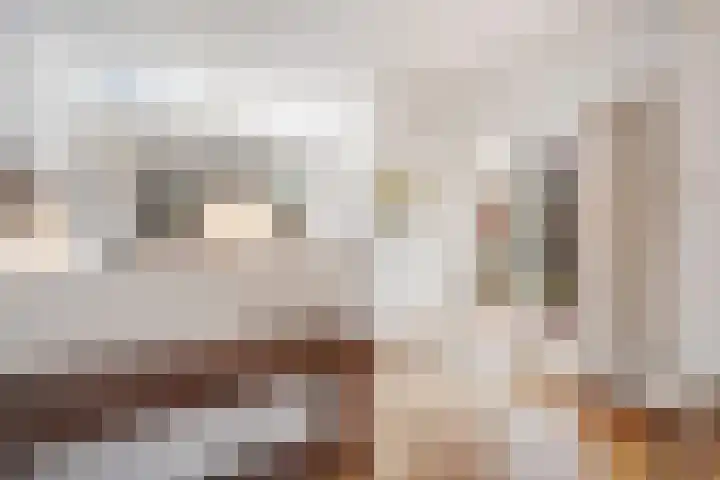 Fuutlaan 4 Den Haag thumbnail 14
