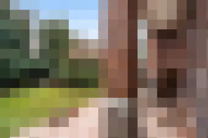 Fuutlaan 4 Den Haag thumbnail 17