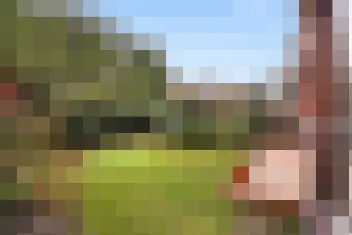 Fuutlaan 4 Den Haag thumbnail 18