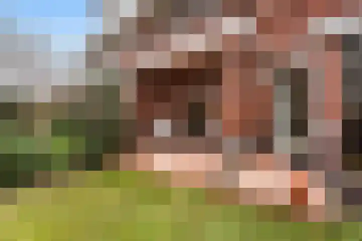 Fuutlaan 4 Den Haag thumbnail 20