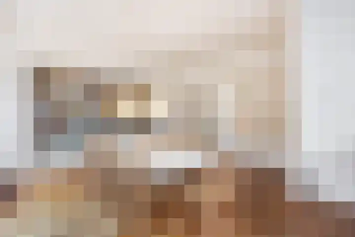 Fuutlaan 4 Den Haag thumbnail 24