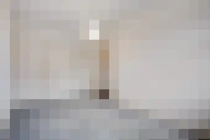 Fuutlaan 4 Den Haag thumbnail 44