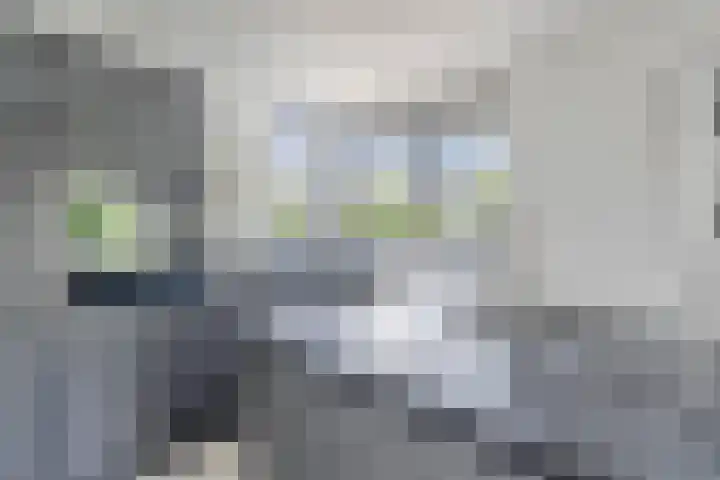 Fuutlaan 42 Aalsmeer thumbnail 24