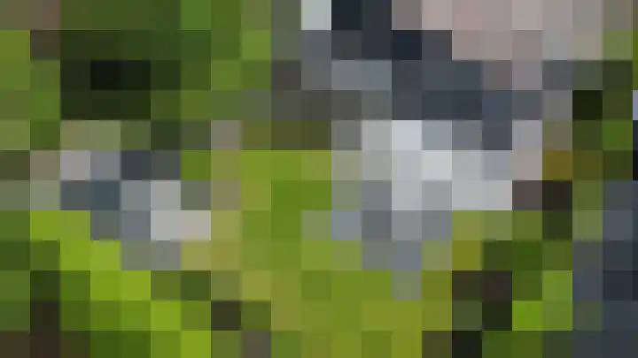 Fuutlaan 42 Aalsmeer thumbnail 42