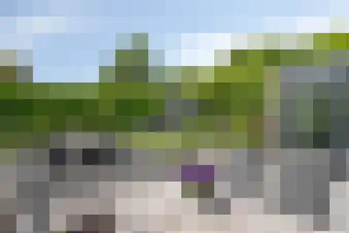 Fuutlaan 42 Aalsmeer thumbnail 43