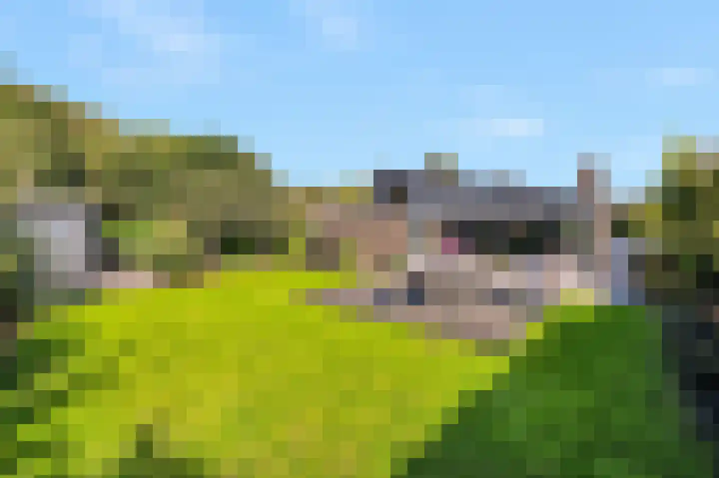 Fuutlaan 42 Aalsmeer thumbnail 46