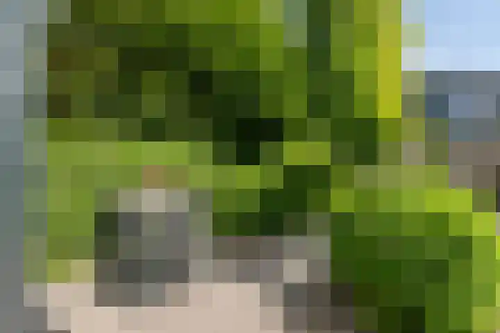 Fuutlaan 42 Aalsmeer thumbnail 48